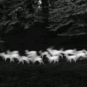 邱淑芬在厨房被躁到高潮
